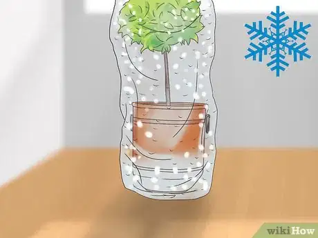 Image titled Maintain a Planter Step 4