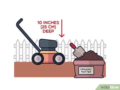 Image titled Grow Saffron Step 3