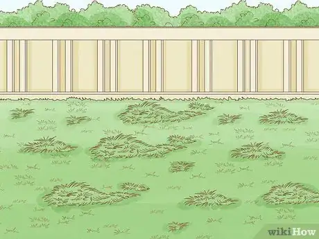 Image titled Maintain Bermuda Grass Step 3