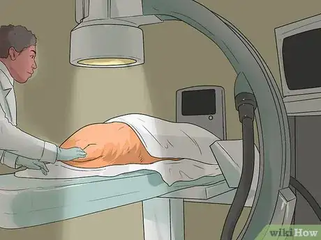 Image titled Detect and Prevent Bloating and Torsion in Dogs Step 7