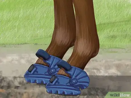 Image titled Know if Your Horse Needs Shoes Step 11