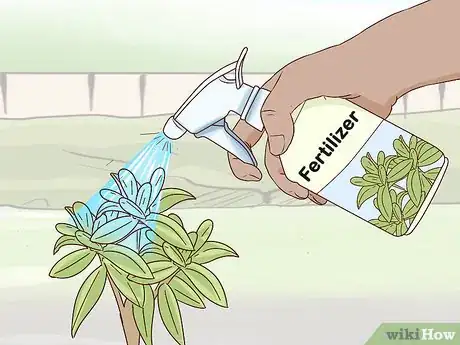 Image titled Grow Rhododendron Step 13