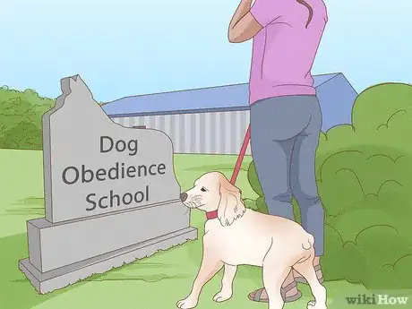 Image titled Prevent Dog Fights Step 6