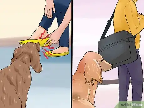 Image titled End Dog Separation Anxiety With Desensitization Step 3