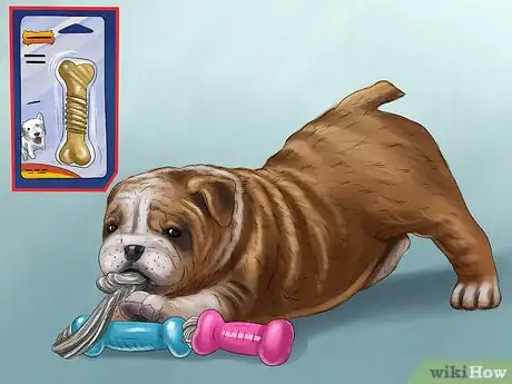 Image titled Keep Kids’ Toys Away from Dogs Step 7