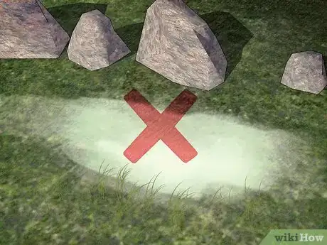 Image titled Protect Dogs from Poisonous Insects Step 2