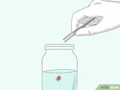 Image titled Remove Ticks from Furry Pets Step 7