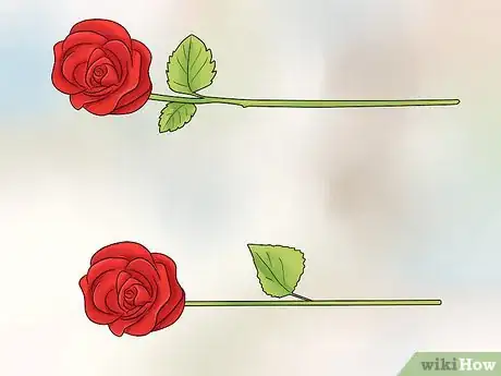 Image titled Arrange Roses in a Box Step 4