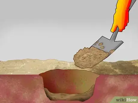 Image titled Plant Pine Trees Step 8