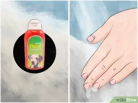 Image titled Prevent Canine Ear Mites Step 12