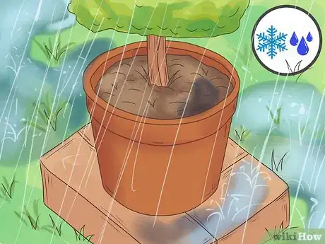 Image titled Maintain a Planter Step 5