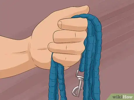 Image titled Put a Lead Rope on a Horse Step 2