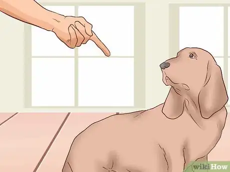 Image titled Introduce Dogs to Cats Step 7