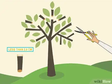 Image titled Prune an Avocado Tree Step 01