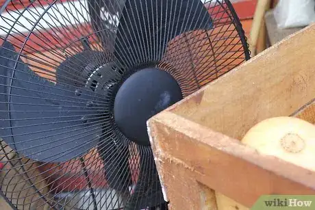 Image titled Cure Winter Squash Step 12