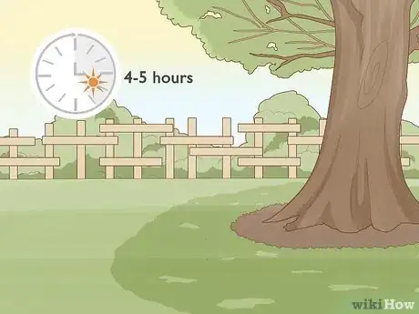 Image titled Grow Salvias Step 2