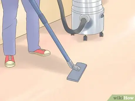 Image titled Get Dog Smell Out of a Basement Step 12