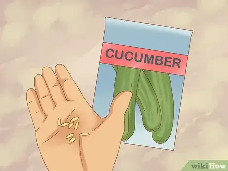 Image titled Grow Cucumbers Step 10