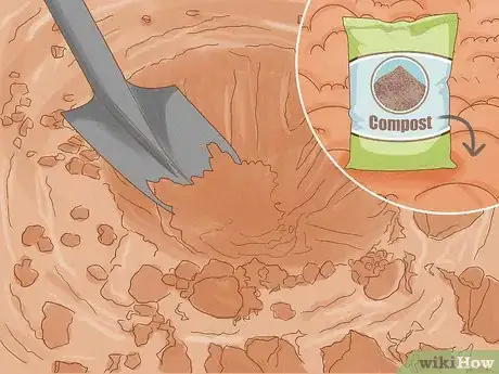 Image titled Grow Garcinia Cambogia Fruit Step 8