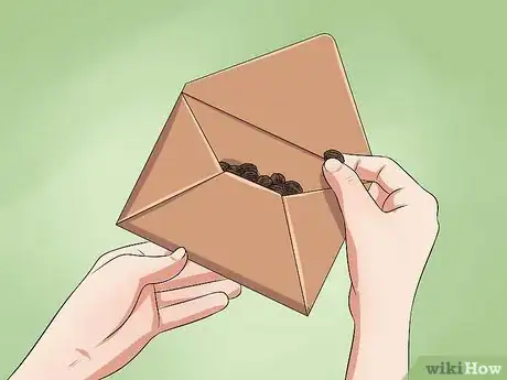 Image titled Grow Four O' Clock Flowers Step 23