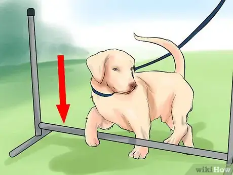 Image titled Get Your Dog to Jump Poles Step 5