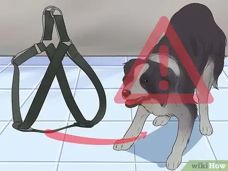 Image titled Prepare Your Dog to Go Off‐Leash Step 6