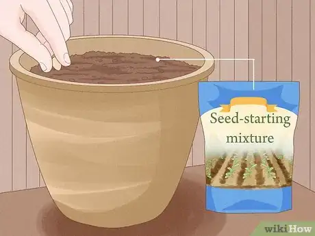 Image titled Grow Garcinia Cambogia Fruit Step 3