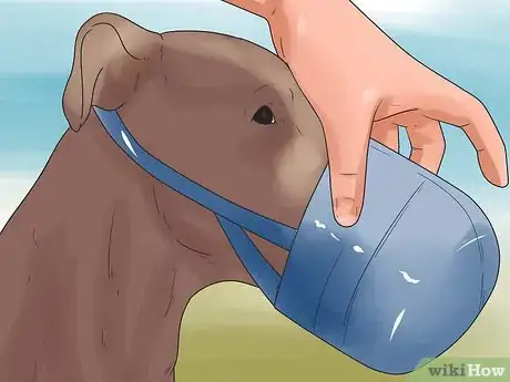 Image titled Socialize Your Dog Step 16