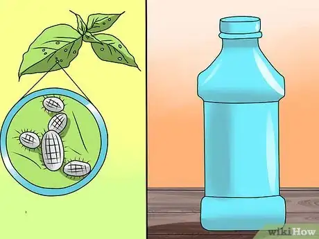 Image titled Grow Coleus Step 21