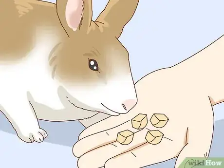 Image titled Befriend a Shy Rabbit Step 8