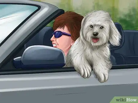 Image titled Keep Your Dog and Other Dogs Safe at the Vet Step 2