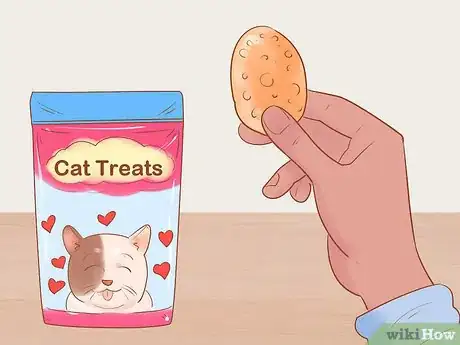 Image titled Target Train a Cat Step 2