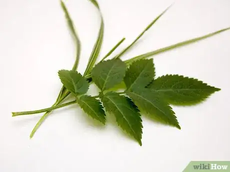 Image titled Arrange Foliage Step 2