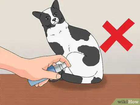 Image titled Treat Cat Behavioral Problems Using Pheromones Step 10
