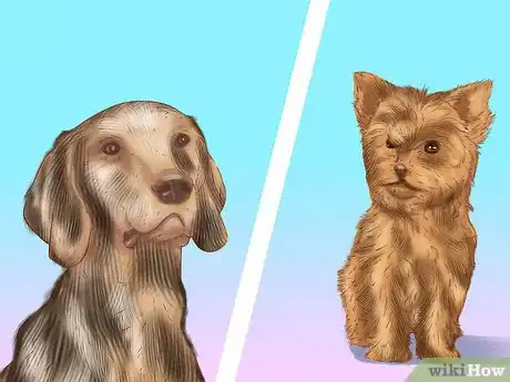 Image titled Choose a Good Hiking Dog Step 2