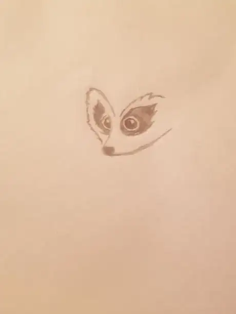Image titled Raccoon6