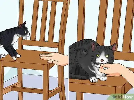 Image titled Train a Deaf Pet Step 5