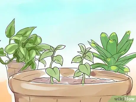 Image titled Rejuvenate an Overgrown Houseplant Step 17