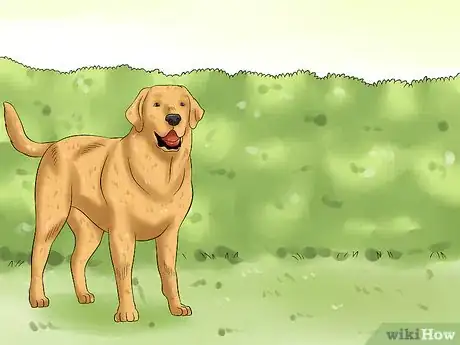 Image titled Keep Deer Out of a Garden Step 11