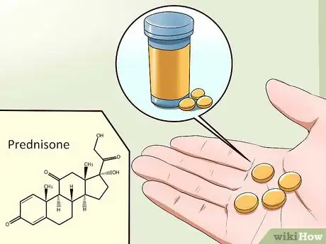 Image titled Diagnose and Treat Your Dog's Itchy Skin Problems Step 14