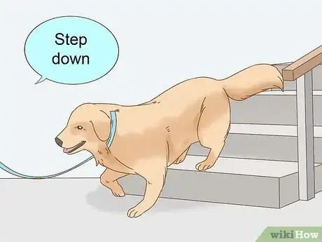 Image titled Train a Blind Dog to Handle the Stairs Step 5