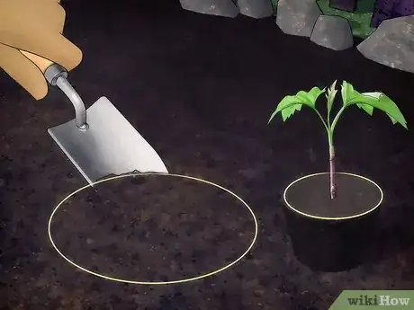 Image titled Grow Snowball Trees Step 3