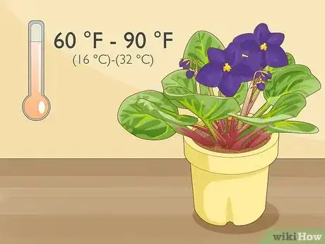 Image titled Get African Violets to Bloom Step 3