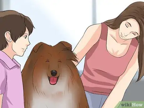 Image titled Care for Collies Step 2