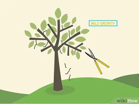 Image titled Prune an Avocado Tree Step 18