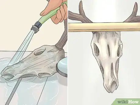 Image titled Do a European Mount Step 11