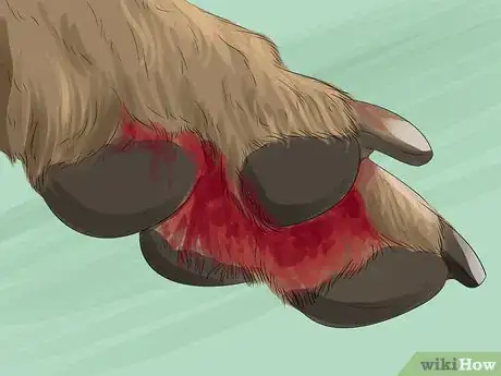 Image titled Keep Your Pets Safe in Winter Step 1