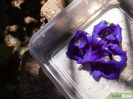 Image titled Make Violet Tea Step 5Bullet1