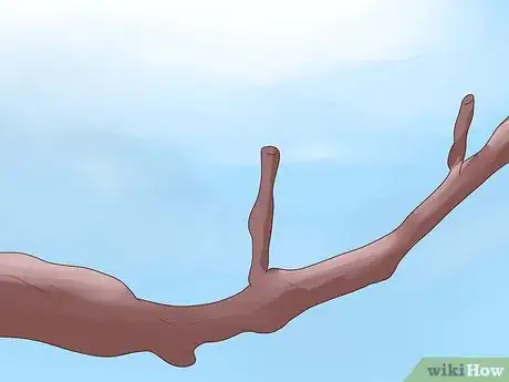 Image titled Prune Grape Vines Step 16