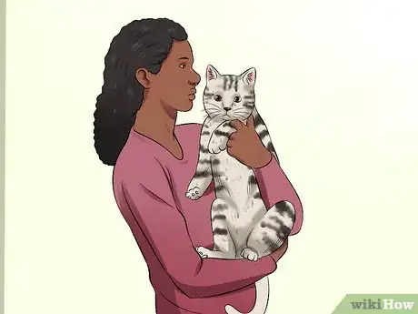 Image titled Care for Egyptian Maus Step 7